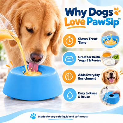 PawSip™ Slow Treat Bowl