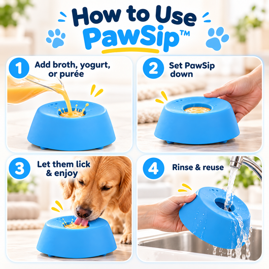 PawSip™ Slow Treat Bowl